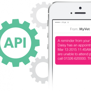 developer api